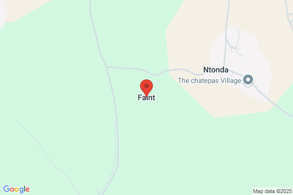Faint W E & J S & R W