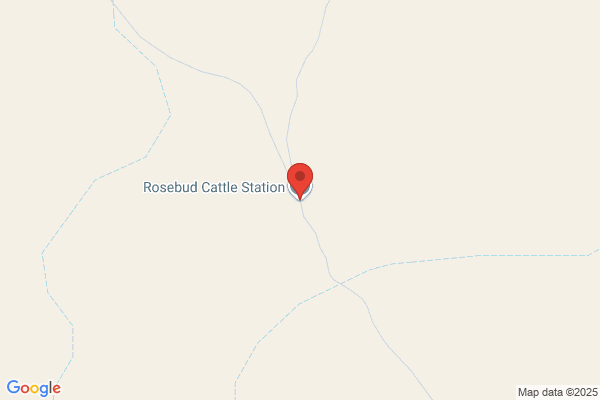 Bush-Pilot Mustering