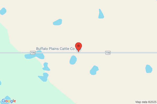 Gipsy Plains Cattle Co