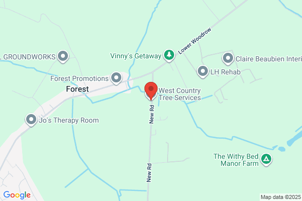 Bremer-West Moreton Tree Services