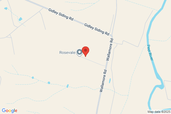 Clarky's Equine Services