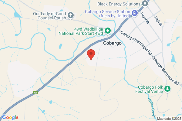 CobargoPaint