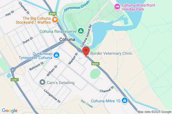 Border Veterinary Clinic