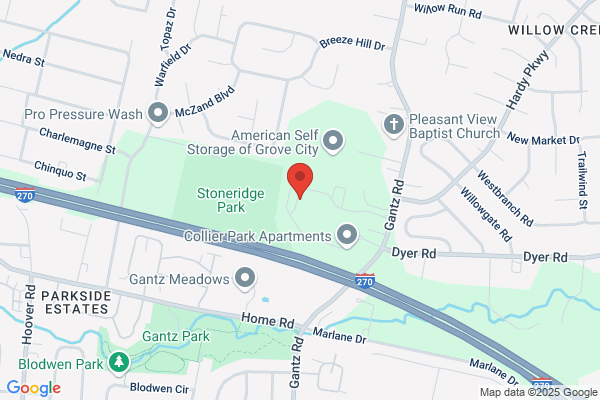 Advanced Pest Control (South West)
