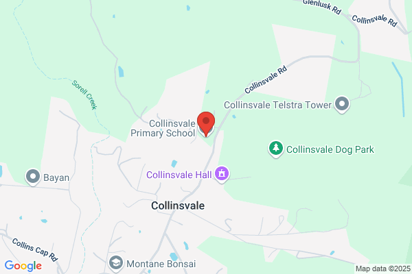Collinsvale Primary School - Outside School Hours Care - Combined