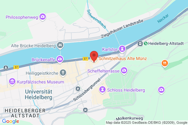 Austrian Schnitzel Hause