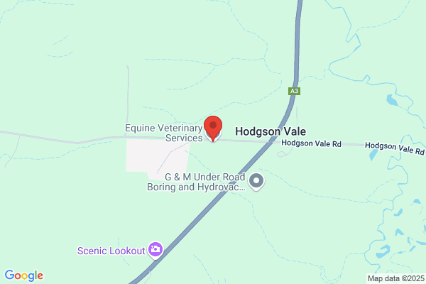 Equine Veterinary Services