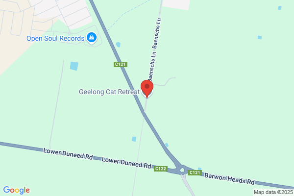 Geelong Cattery
