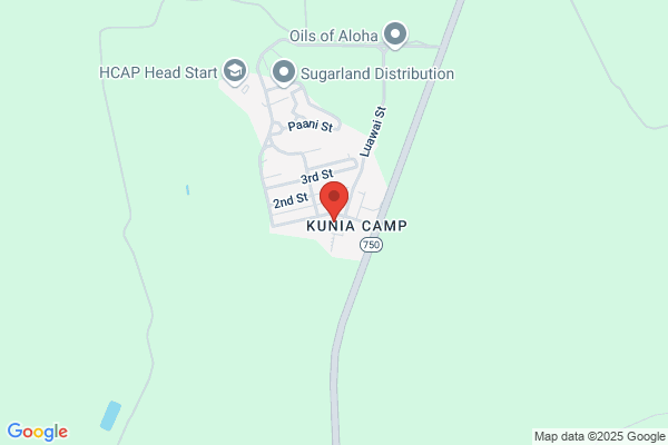Kunzea Farm Tree Nursery