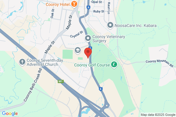 Cooroy Dolphins Swimming Club Inc