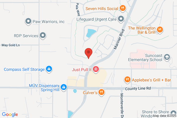 Kids Academy Spring Hill