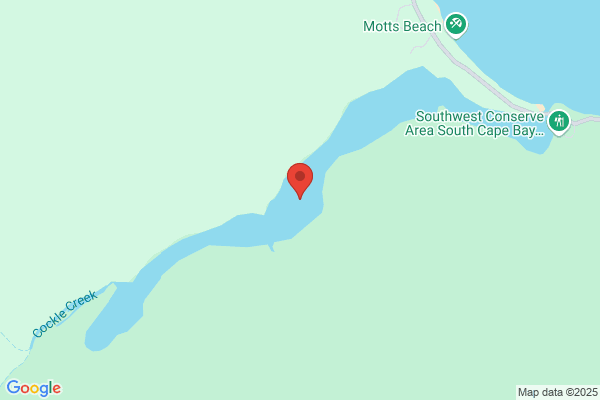 Cockle Creek Brassierie