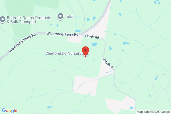 Cleetondale Nursery
