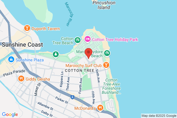 Cotton Tree News