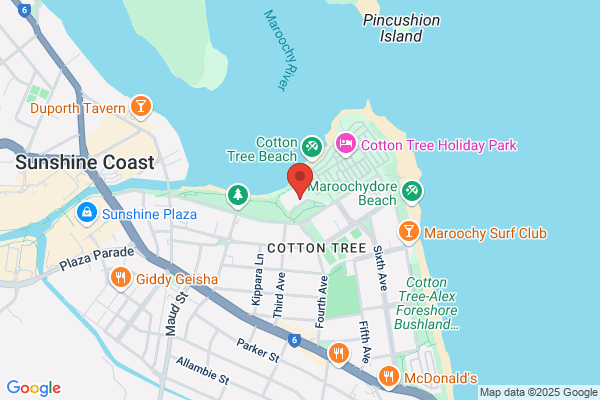 Swim Fit Cotton Tree