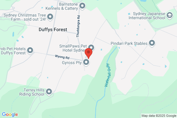 Duffys Forest Cattery