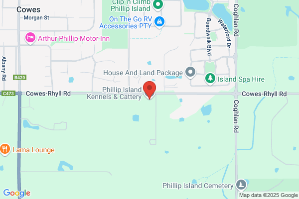 Phillip Island Kennels and Cattery