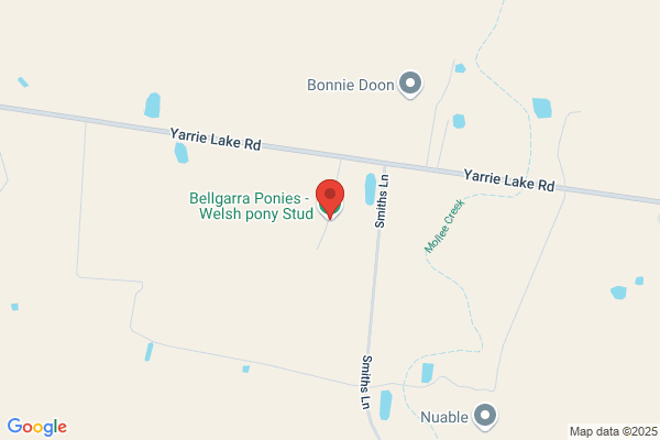 Bellenbar Pony Stud
