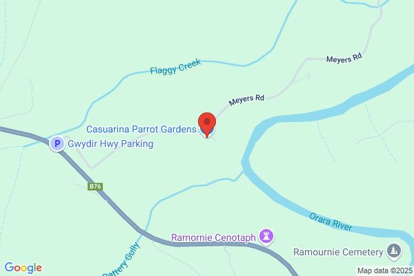 Casuarina Parrot Gardens