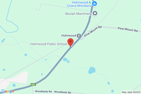 Holmwood Public School