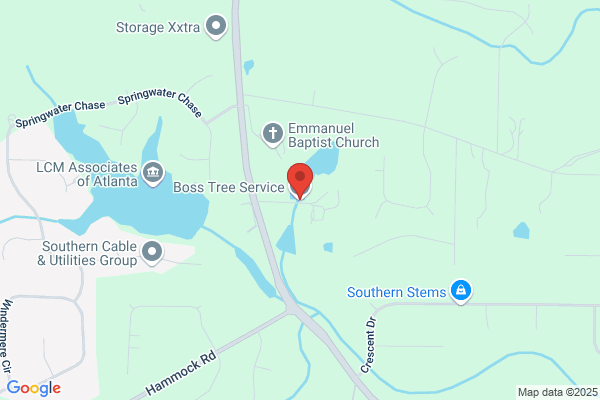 Boss Tree & Stump Services