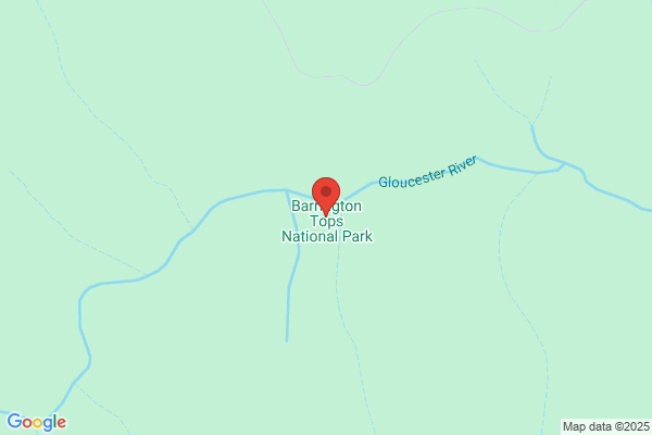 Barrington Tops (International) Pty Ltd