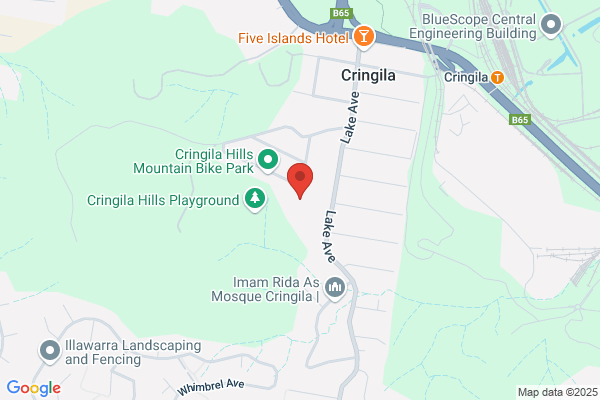 Cringila Public School