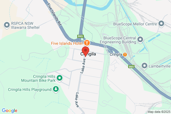 Cringila Village Newsagency
