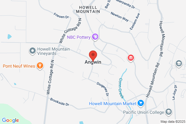 Angwin J