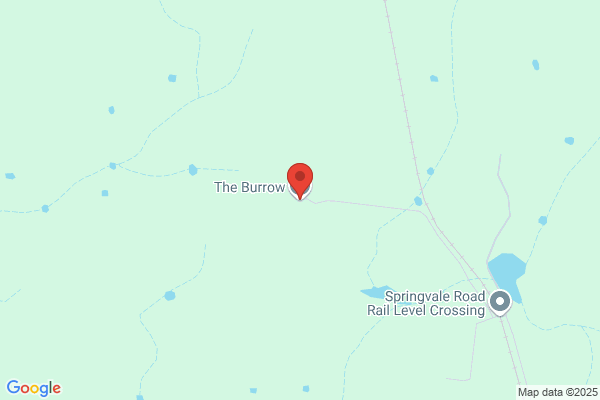 Burrow T R
