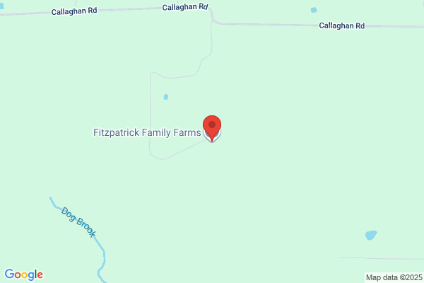 Fitzpatrick A Primary Producer