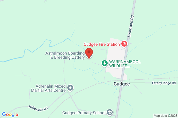 Astralmoon Boarding & Breeding Cattery