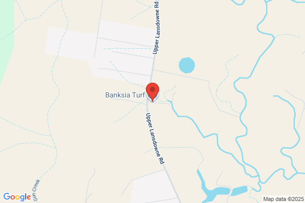 Banksia Turf