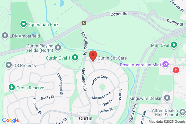 Curtin Cat Care