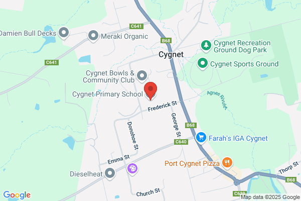 Cygnet Primary School