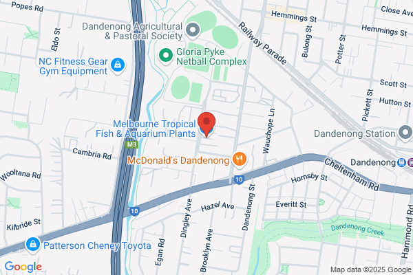 Melbourne Tropical Fish Imports
