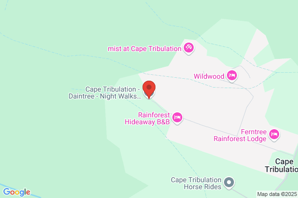 Daintree Escape