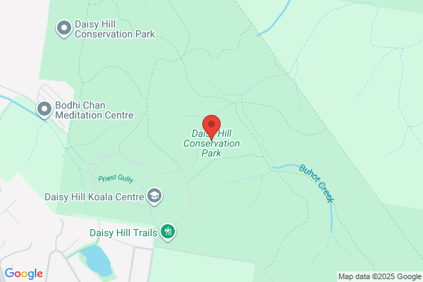 ABC Daisy Hill