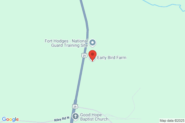 Early Bird Worm Farming