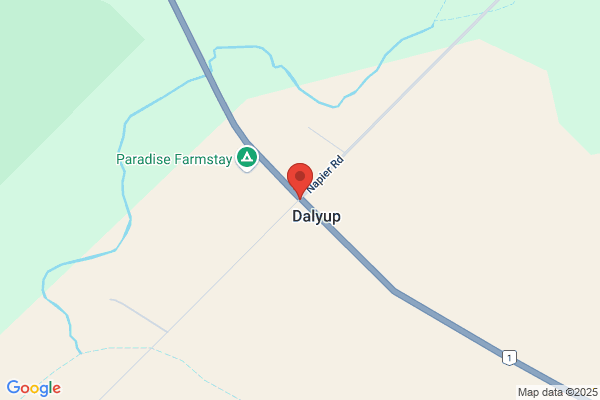 Cascade Miniature Stud