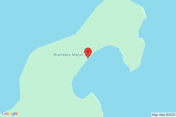 Brambles Western Australia