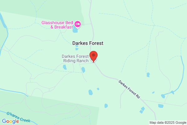 Darkes Forest Boarding Stables