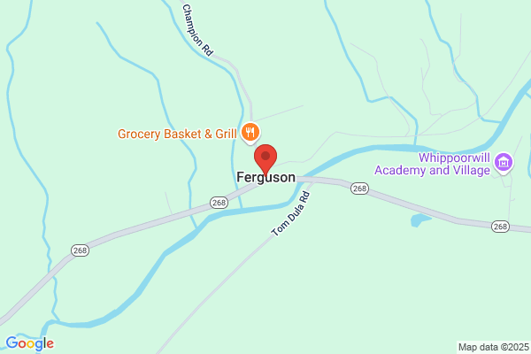 Ferguson K M