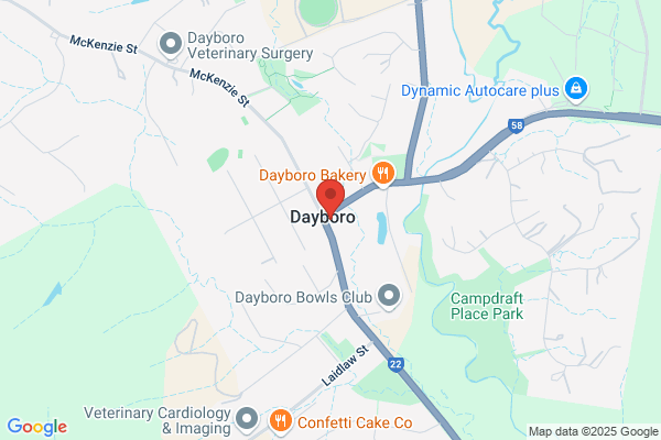 Craig Doyle Real Estate