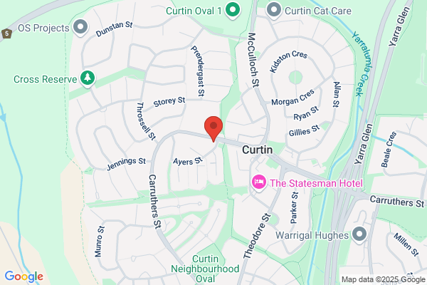 David Curtain Consulting P/L