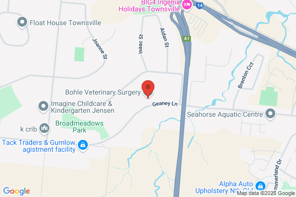 Bohle Veterinary Surgery
