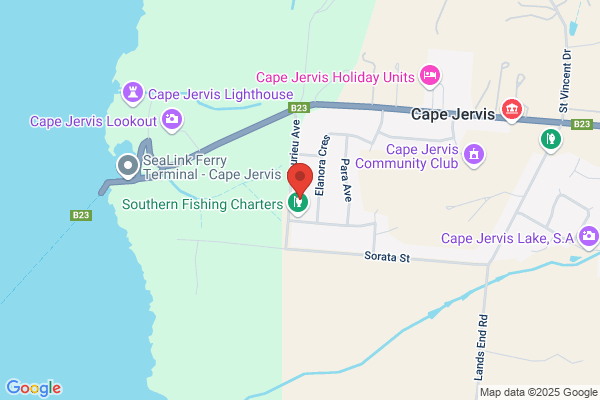 Cape Fishing Charters