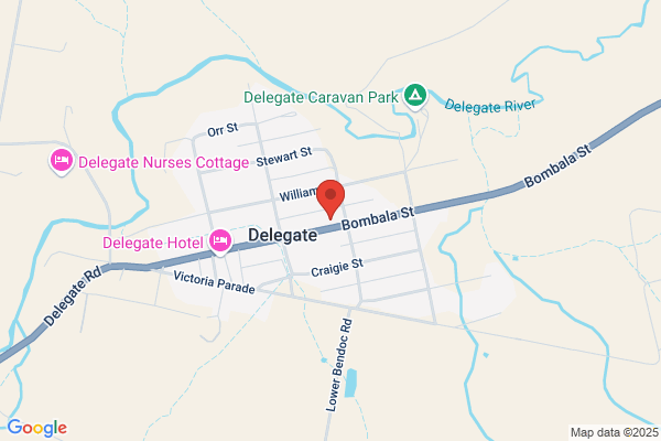 Delegate And District Child Care Service