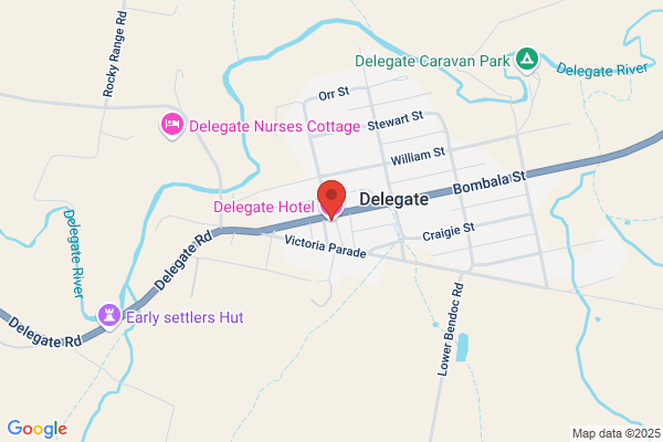Delegate Hotel