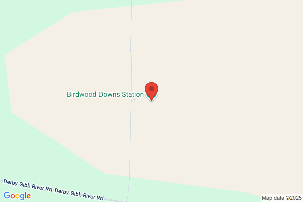 Birdwood Downs Company Pty Ltd